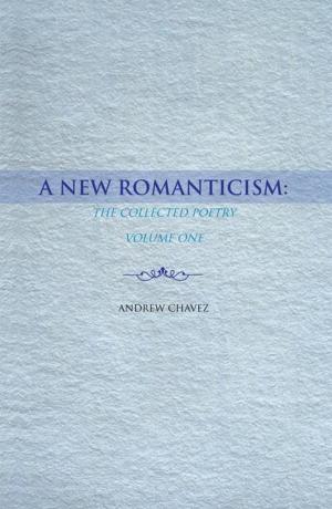 Cover of the book A New Romanticism: by Anne Blondeau