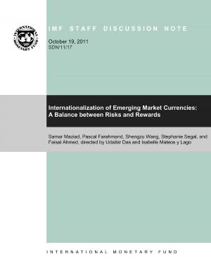 Book cover of Internationalization of Emerging Market Currencies--A Balance Between Risks and Rewards