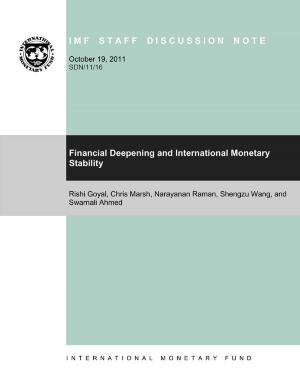 Cover of Financial Deepening and International Monetary Stability