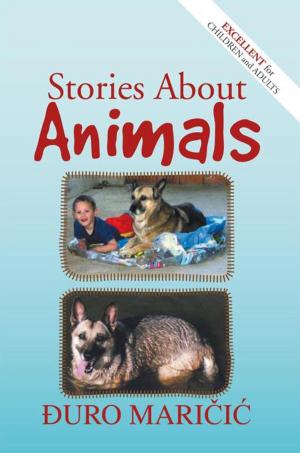 Cover of the book Stories About Animals by Terence EDW Brumpton