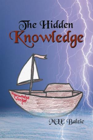 Cover of the book The Hidden Knowledge by Oruonye Samuel