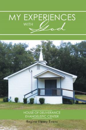 Cover of the book My Experiences with God by John Nieman