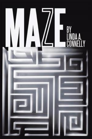 Cover of the book Maze by Brigitte Goldstein