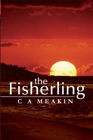 Cover of the book The Fisherling by Nick Hanington