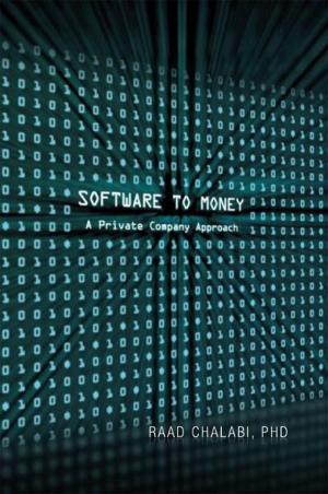 Cover of the book Software to Money by Steve Ellis