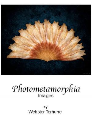 Cover of the book Photometamorphia by Bertrand Joliet