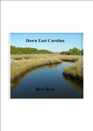 Book cover of Down East Carolina