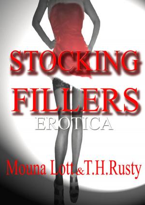 Book cover of Stocking Fillers: Erotica