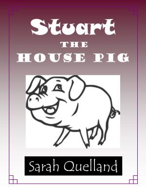 Cover of the book Stuart the House Pig by Alinka Rutkowska
