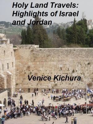 Book cover of Holy Land Travels: Highlights of Israel and Jordan