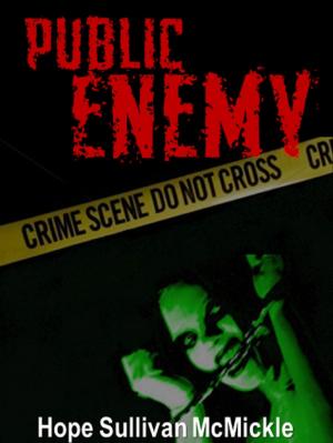 Cover of the book Public Enemy by Dr D. Bruno Starrs