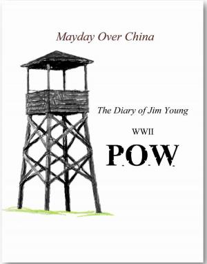 Cover of the book P.O.W. Mayday Over China by Andrew Smith