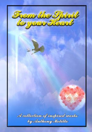 Cover of the book From the Spirit to your Heart by Connie Seibert, Sandy Maxwell