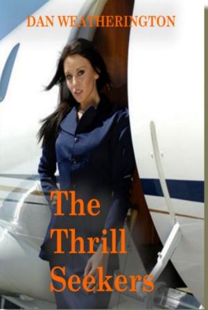 Book cover of The Thrill Seekers