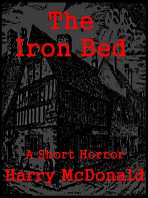 Book cover of The Iron Bed