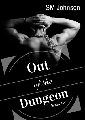 Book cover of Out of the Dungeon