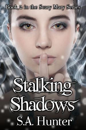 Cover of Stalking Shadows