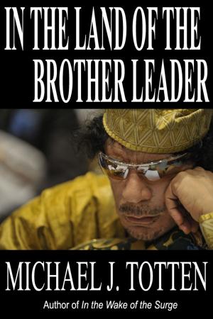 Cover of the book In the Land of the Brother Leader by Karl-Heinz Dienstl