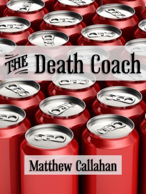 Book cover of The Death Coach