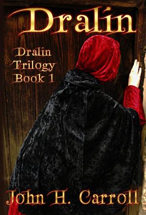 Cover of the book Dralin by Chris Stoneheart