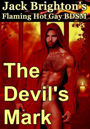 Book cover of The Devil's Mark