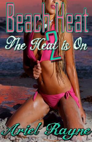 Cover of the book Beach Heat 2: The Heat is On by JJ Triffid