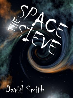 Book cover of The Space Sieve