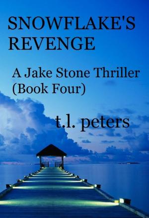 Cover of the book Snowflake's Revenge, A Jake Stone Thriller (Book Four) by Kevin Basil