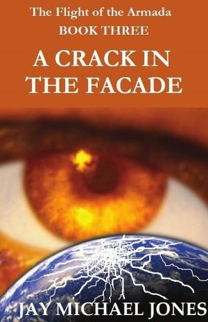 bigCover of the book 3 A Crack in the Facade by 