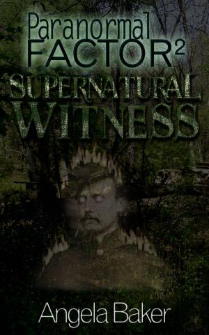 Book cover of Paranormal Factor II. Supernatural Witness