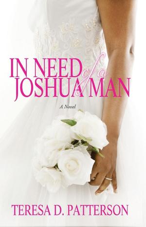 Book cover of In Need of a Joshua Man