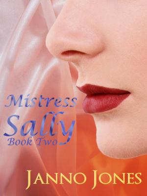 Book cover of Mistress Sally, Book Two