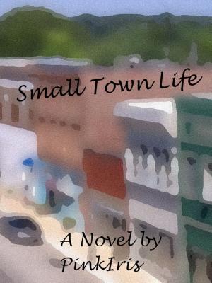 Book cover of Small Town Life