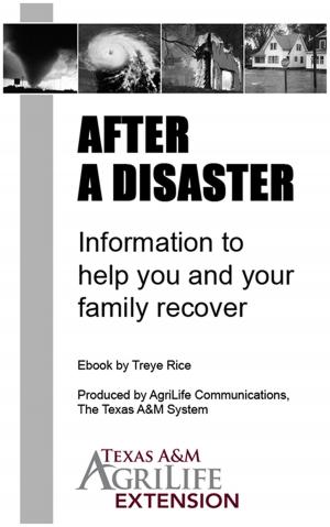 Cover of the book After a Disaster: Information to Help You and Your Family Recover by Austin HSEM