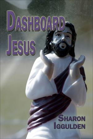 bigCover of the book Dashboard Jesus by 