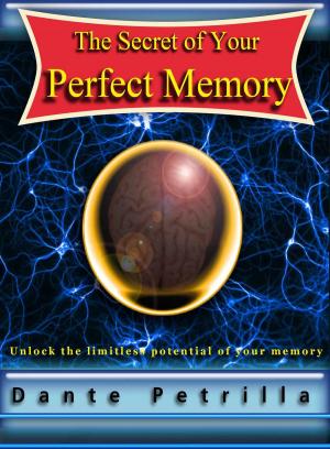 Book cover of The Secret of Your Perfect Memory