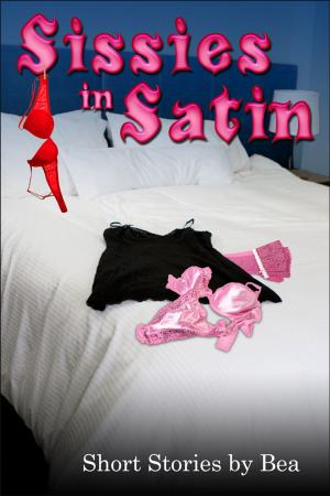 Cover of the book Sissies in Satin by Hurri Cosmo
