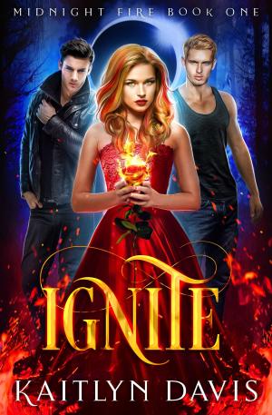 Cover of the book Ignite (Midnight Fire Series Book One) by N.K. Aning