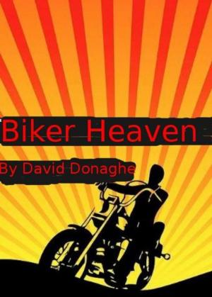 Book cover of Biker Heaven