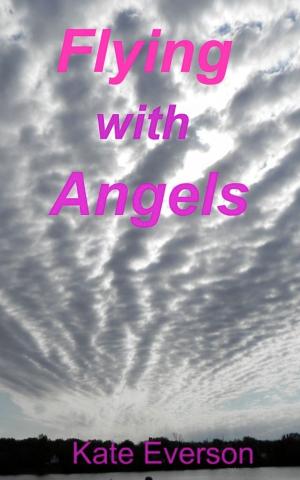 Cover of Flying with Angels