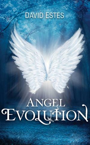bigCover of the book Angel Evolution by 