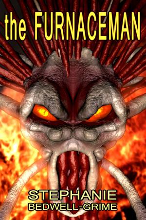 Book cover of The Furnace Man