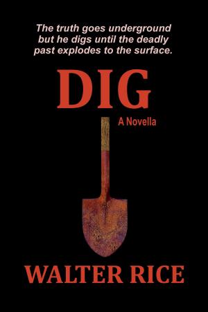 Cover of the book Dig by Mary M. Cushnie-Mansour