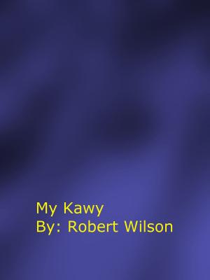 Book cover of My Kawy