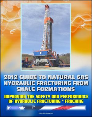 Cover of the book 2012 Guide to Natural Gas Hydraulic Fracturing from Shale Formations: Improving the Safety and Performance of Hydraulic Fracturing and Fracking by Progressive Management