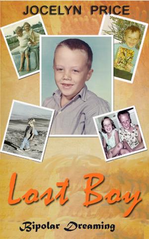 Book cover of Lost Boy: Bipolar Dreaming