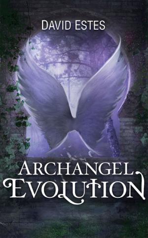 Book cover of Archangel Evolution