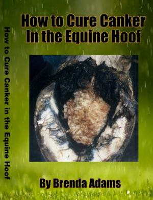 Cover of the book How To Cure Canker in the Equine Hoof by Karen Hearing
