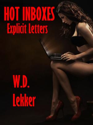 Cover of the book Hot Inboxes: Explicit Letters by B.J. Boyd