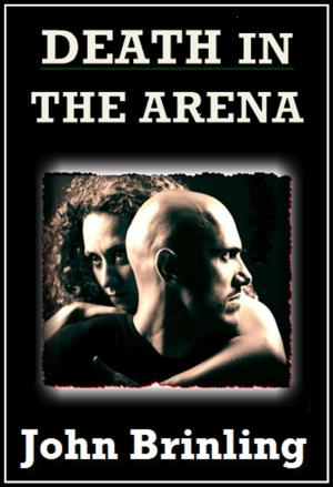 Cover of the book Death In The Arena by Brett Halliday